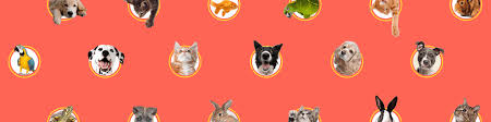 Group cover image